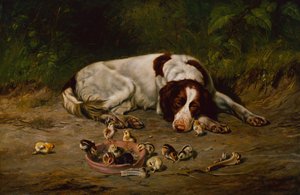 Good Doggy by Arthur Fitzwilliam Tait