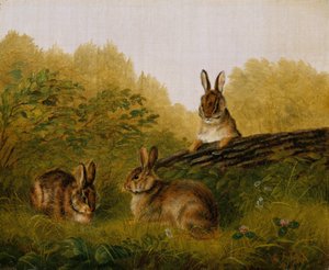 Rabbits on a Log by Arthur Fitzwilliam Tait