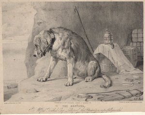 The Sentinel by Arthur Fitzwilliam Tait