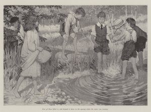 Being Beavers by Arthur Herbert Buckland