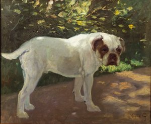 A Bulldog on a Garden Path by Arthur Heyer