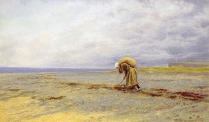 Gathering Seaweed