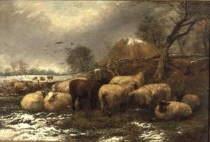 Shelter by Arthur J. Stark