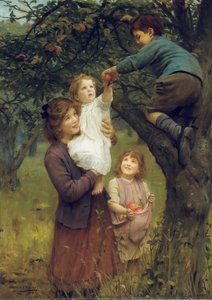 Picking Apples