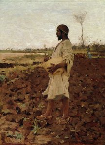 An Egyptian Sower, 1881