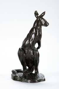 Kangaroo