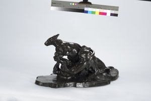 Kangaroo and Dog