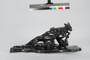 Kangaroo and Dog