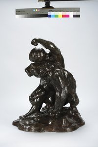 Puma and Child