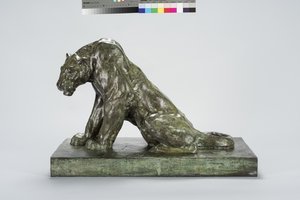 Puma on Guard