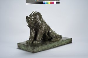 Puma on Guard