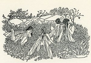 A Midsummer Night