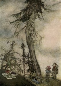 Aesop