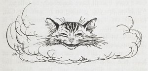 The Cheshire Cat