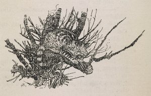The Cheshire Cat in a tree