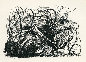 The Three Heads of the Well by Arthur Rackham