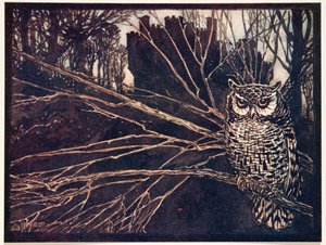 Or a screech owl by Arthur Rackham