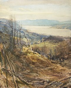 Coniston from Near Tarn Hows