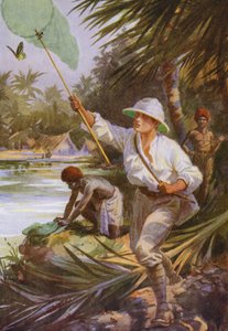 Beautiful Butterflies: A collector at work in New Guinea