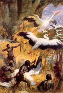 The Battle of the Pygmies and the Storks