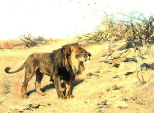 A Lion Amongst Scrub by Arthur Wardle