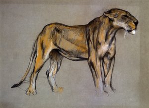 A Lioness, c.1900