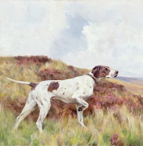 A Pointer