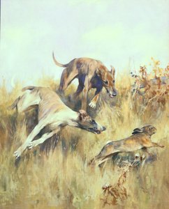Greyhounds Giving Chase