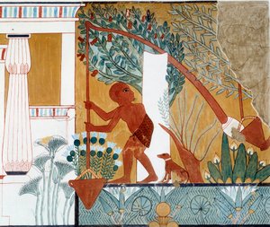 Art Egypt: A Shadouf at the Well, Facsimile from the Tomb of Ipuy in Thebes