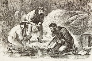 Australia (1880). The life of the gold diggers in Botany Bay (founded in 1788) (engraving) by Artist Unknown