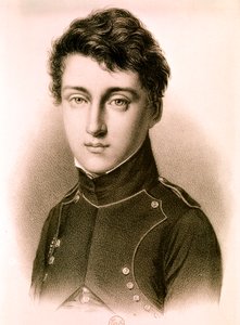 Portrait of Sadi Nicolas Léonard Carnot at Age 17 by Artist Unknown