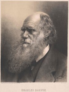 Charles Darwin by Artist Unknown