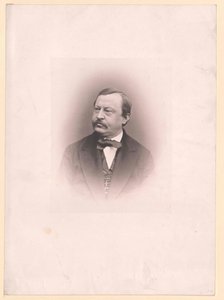Karl von Stellwag-Carion by Artist Unknown