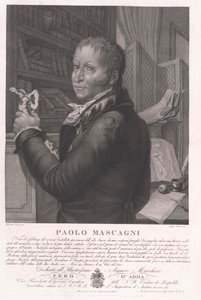 Paolo Mascagni by Artist Unknown
