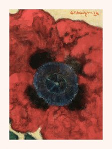 Poppy Flower White Border by Artur Nikodem