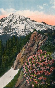 The Primrose on Mount Rainier
