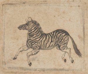 Banknote vignette showing a zebra by Asher Brown Durand.