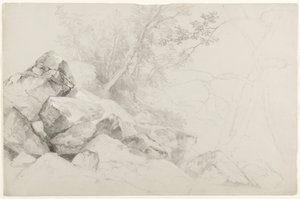 Study of Rocks with Trees, Hague, Lake George, New York by Asher Brown Durand