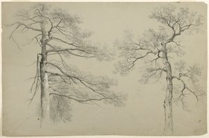 Study of Two Trees, Hague, Lake George, New York