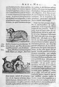 Mythical Creatures