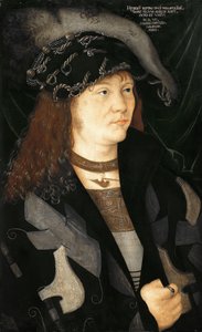 Portrait of Henri V. of Mecklenburg