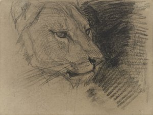 Head of a Lion by August Allebe