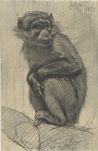 Monkey on a Branch by August Allebe