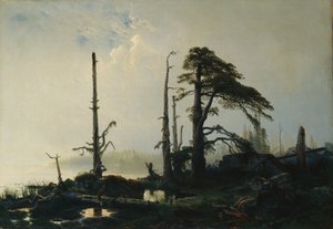 Lake in fog