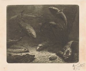 Aquarium
