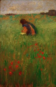 Child in Meadow