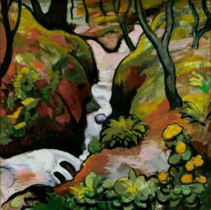 Forest Stream