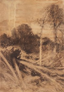 Tree Study