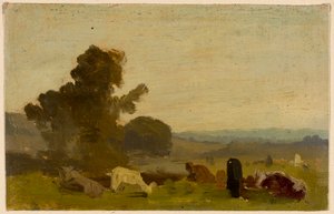 Landscape Study