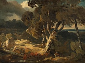 Stormy Landscape